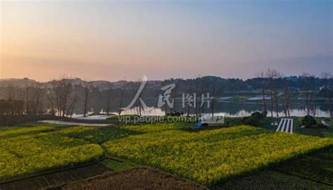 四川泸州：水稻收割忙-人民图片网