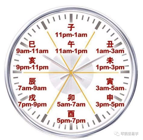 子午流注钟表中医养生家用时钟十二时辰静音客厅24小时院挂钟-阿里巴巴