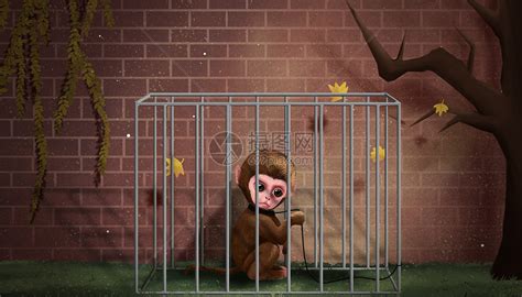 关在笼子里的猴子插画图片下载-正版图片401794785-摄图网