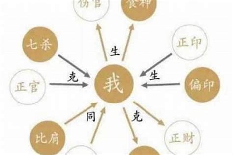 十神为正印是什么意思？大运走正印运什么意思_八字_若朴堂文化