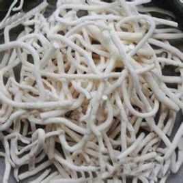 通草图片