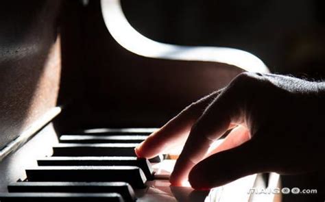 钢琴演奏家的艺术家之手高清图片下载-正版图片502972462-摄图网