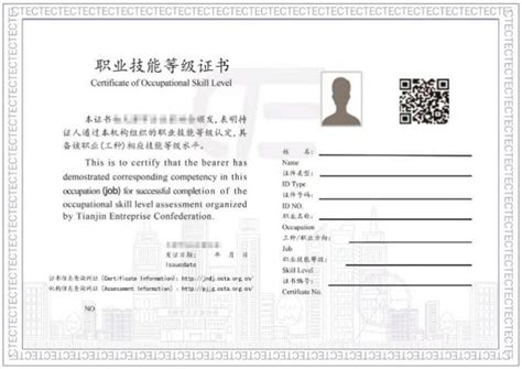 2023年职业证书查询官方网站汇总（附入口）- 郑州本地宝