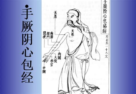 心包经穴位图图片