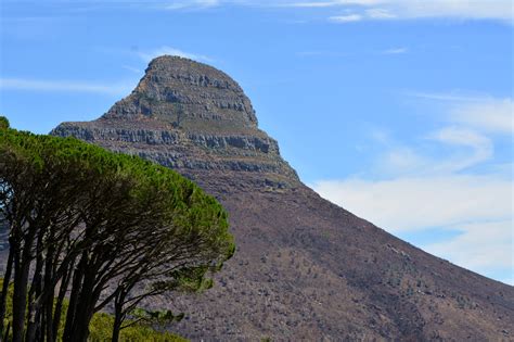 桌山作为南非的地标，傍晚看日落，夜晚看夜景都很赞！