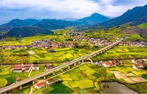 3月:去汉中西乡看最美油菜花-农村土地网