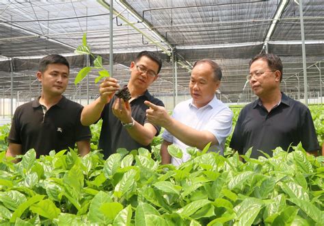 台湾专家来玉环分享“智慧” 两岸生态农业合作机会多多