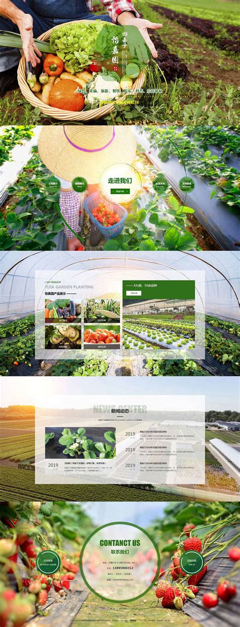大连绿色蔬菜_蔬菜配送_蔬菜采摘-公司官方网站建设-企业网页制作