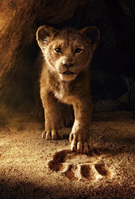 迪士尼电影官微发布《狮子王》最新预告片：小狮子辛巴遇见两位可爱朋友-新闻资讯-高贝娱乐