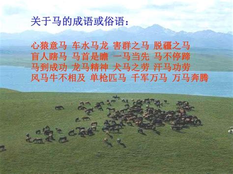 关于马的俗语,关于牛的俗语,俗语的意思_大山谷图库
