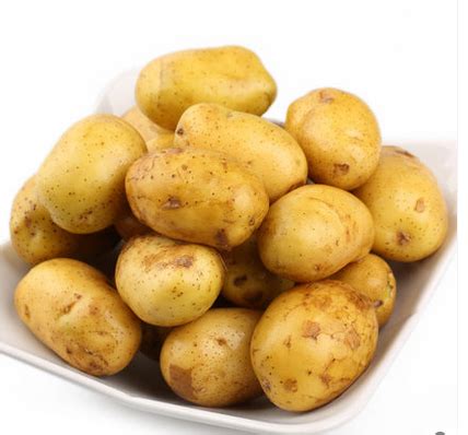 大量新鲜土豆上市，各种规格，各种品种_土豆价格行情_蔬菜商情网