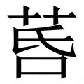 挂载 的图像结果