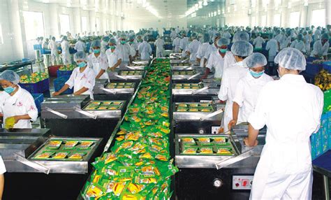 四川眉山东坡区：小泡菜成就大品牌大市场 - 四川 - 中国产业经济信息网