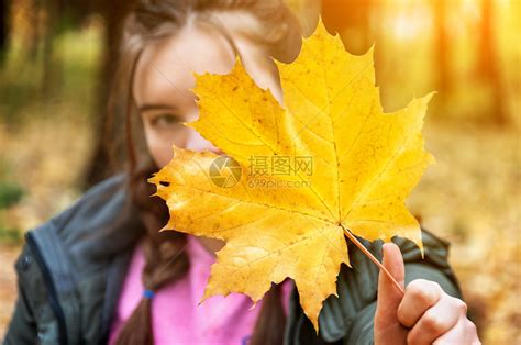九月美丽的身处模糊背景年轻女孩被黄色的叶覆盖自然高清图片下载-正版图片307814900-摄图网