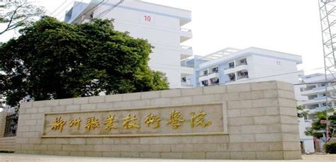 柳州职业技术学院2020招生录取分数线 - 广西资讯 - 升学之家