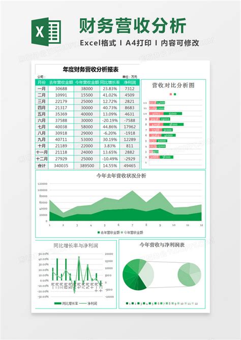 简约年度财务营收分析报表Excel模板下载_熊猫办公