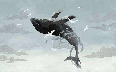《捕鲸记》：在海中死去，它是唯美的鲸落！鲸搁浅为何会死亡呢？