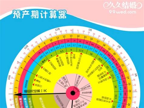 孕妇预产期如何计算？-健康资讯-香港精准基因鉴定中心