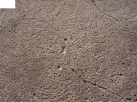 砂子水泥地面贴图JPG素材免费下载_红动中国