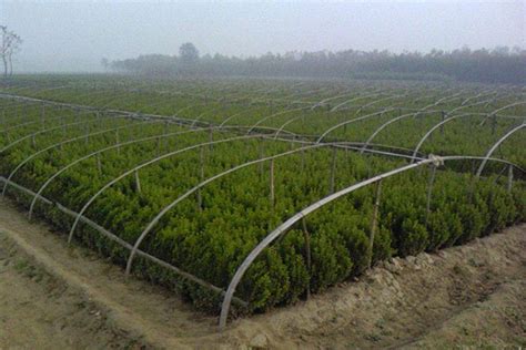 吉林省吉林市景观园林绿化设计_润景生态园林 - 东商网-润景生态园林