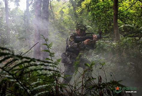 “打野”开战 兵哥哥扮起了丛林猎人 - 中国军网