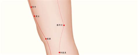膝眼的准确位置图图片 膝眼的准确位置图图片