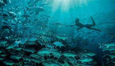 地球70％都是海洋，人类对海洋的了解有多少？海洋最深处有什么？