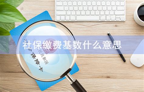 社保缴费基数是什么意思，社保基数是工资吗-易社保