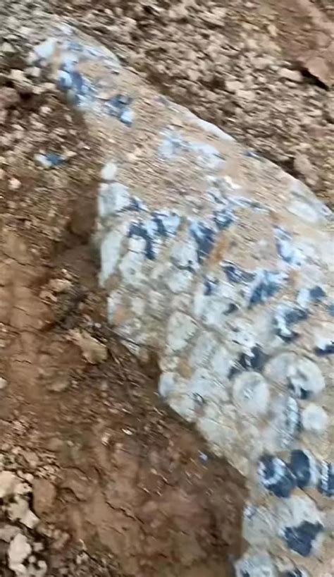 湖南武冈修马路挖出“龙爪石”，表面呈蓝色鳞片状，村民争相围观_腾讯视频