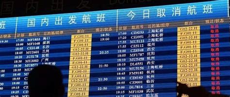 今日三亚飞上海多航班被取消或延误，业内人士称或受疫情影响_新民社会_新民网