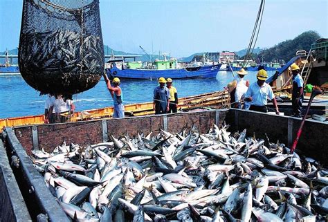 贵州：生态渔业风生水起 - 当代先锋网 - 要闻