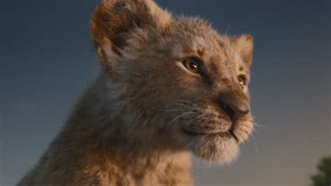 CG电影《狮子王》竟与动画版的分镜如此相似，期待更多名场面 | 机核