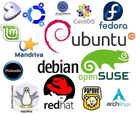 2022 年适合初学者的 10 个最佳 Linux 发行版 - Linux迷