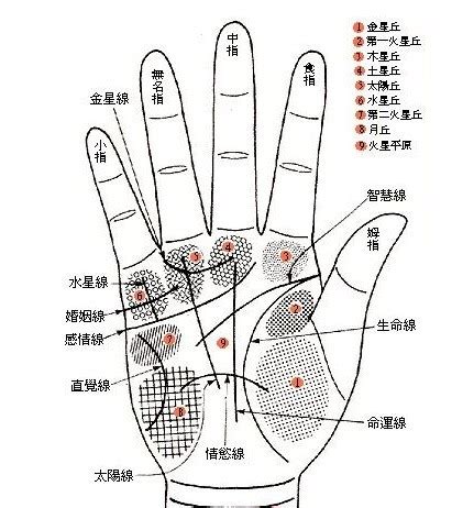 事业线图解图片