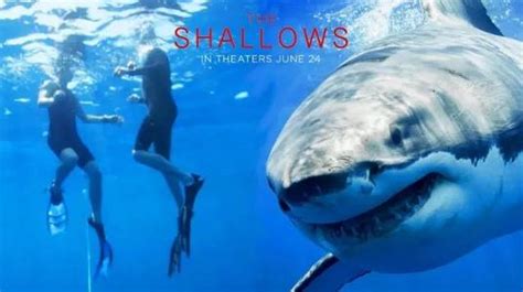 鲨滩 The Shallows电影影讯、影评、鲨滩 The Shallows在线购票_江西电影票网