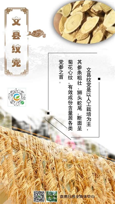 “甘味”农产品品牌目录公布，成县入选的是→_澎湃号·政务_澎湃新闻-The Paper