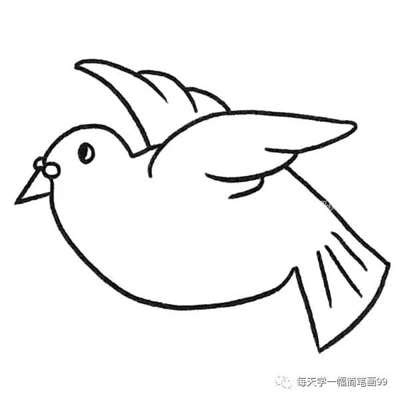飞翔的和平鸽简笔画画法图片步骤🎬小小画家