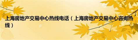 上海房地产交易中心热线电话（上海房地产交易中心咨询热线）_华夏智能网