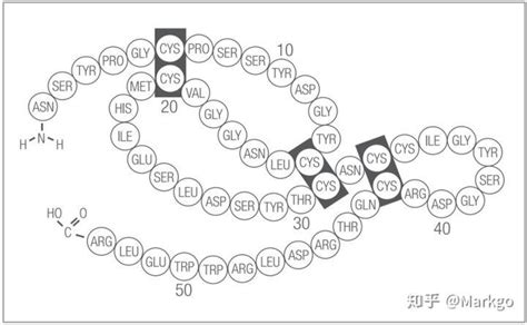 EGF成分有啥作用，求推荐EGF类护肤品？ - 知乎