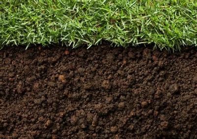 如何判断花土的酸碱性 酸性土壤和碱性土壤怎么区分你造吗？|如何|判断-知识百科-川北在线