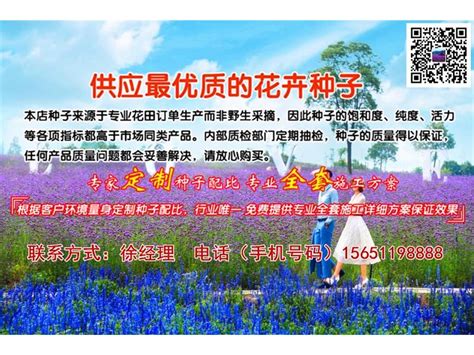 渭南市花海专业种子批发一般多少钱一斤_花海专业种子_江苏郁葱景观绿化工程有限公司