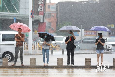 视频｜河南郑州多地大雨持续 暴雨橙色预警持续近5小时_手机新浪网