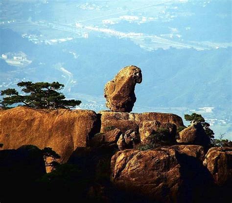 黄山山顶有一“奇石”，猴子观海，它看的真的是海吗？