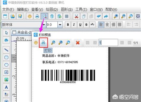 Excel数据透视表行标签和列标签怎么设置-Excel表格数据透视表设置行列值字段的方法教程 - 极光下载站