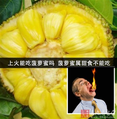 学校绿化菠萝蜜能吃吗,小区里的菠萝蜜能吃吗,菠萝蜜怎么吃(第7页)_大山谷图库