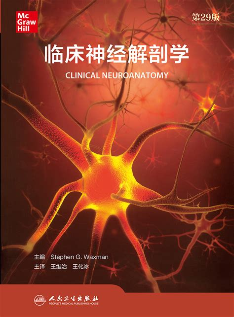 神经元和胶质细胞标记物_神经系统