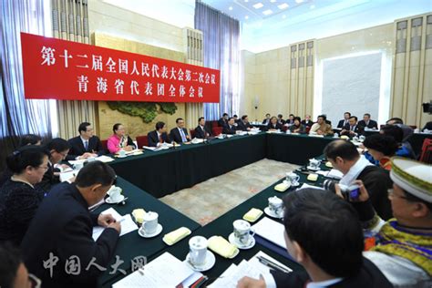 青海代表团举行全体会议审议政府工作报告_中国人大网