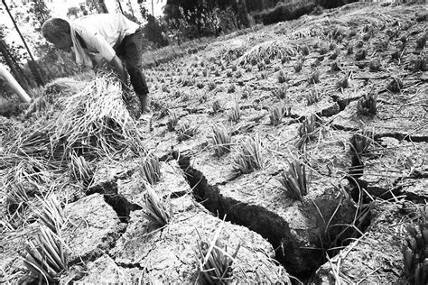 近代中国第一大旱灾，北方五省持续4年无雨，1000万人死于饥荒