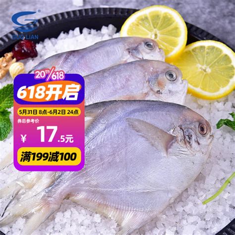 GUO LIAN国联 东海白鲳鱼 银鲳鱼 600g 5-8条 深海鱼产地直供 国产生鲜-商品详情-菜管家