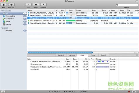 Torrent File Editor（种子编辑器） V0.3.16 绿色版下载_完美软件下载